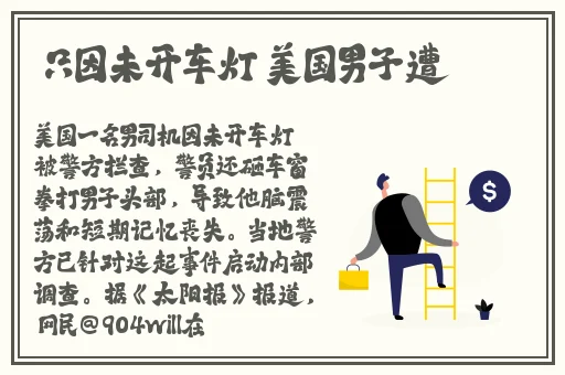希露薇の繁殖计划游戏英文名
